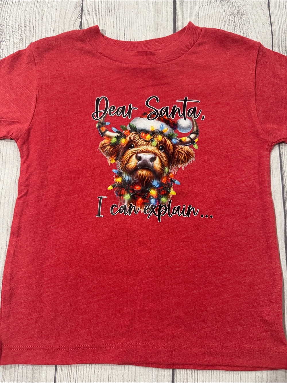 Bella Canvas Toddler Kids' 'Dear Santa, I Can Explain' Graphic Tee